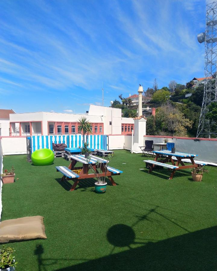 Crashpalace Backpackers Napier Buitenkant foto